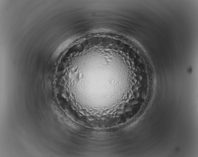 X0000116760921200912241139
