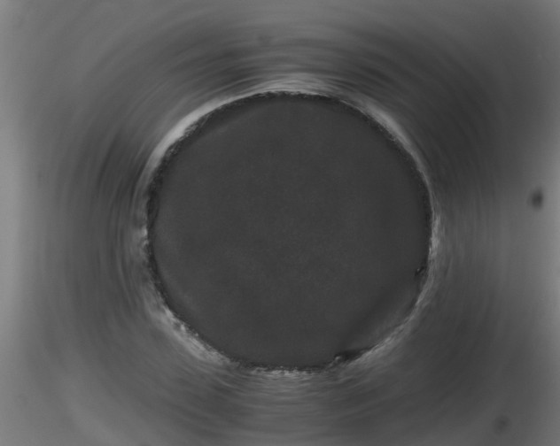 X0000116760923200912241139