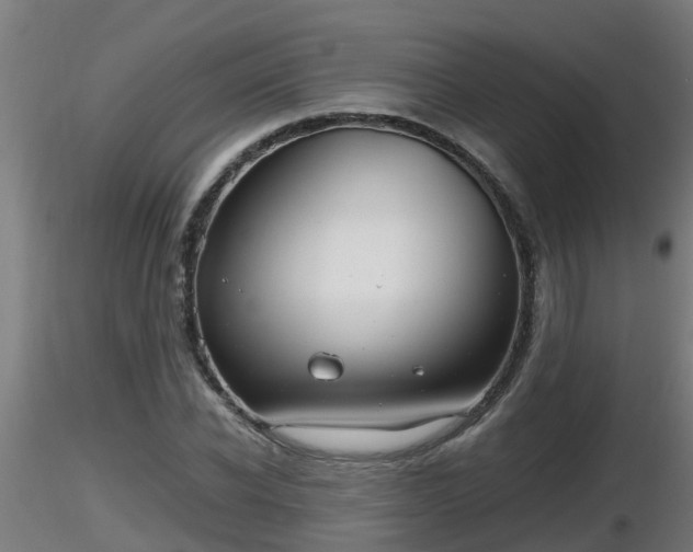 X0000116760926200912241139