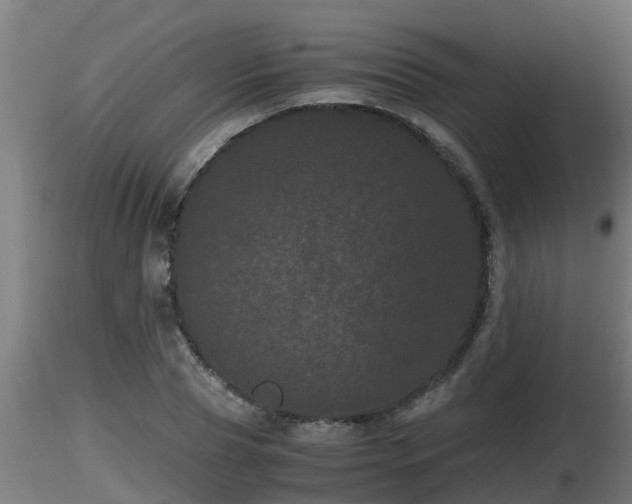 X0000116760929200912241139