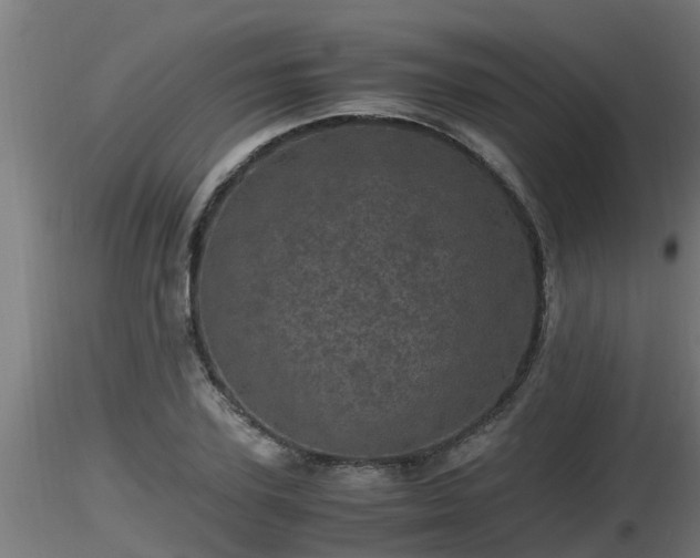X0000116760931200912241139