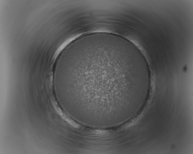 X0000116760933200912241139