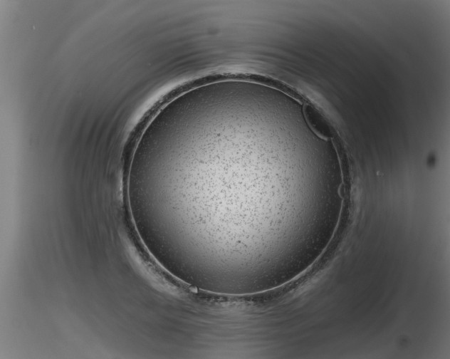 X0000116760934200912241139
