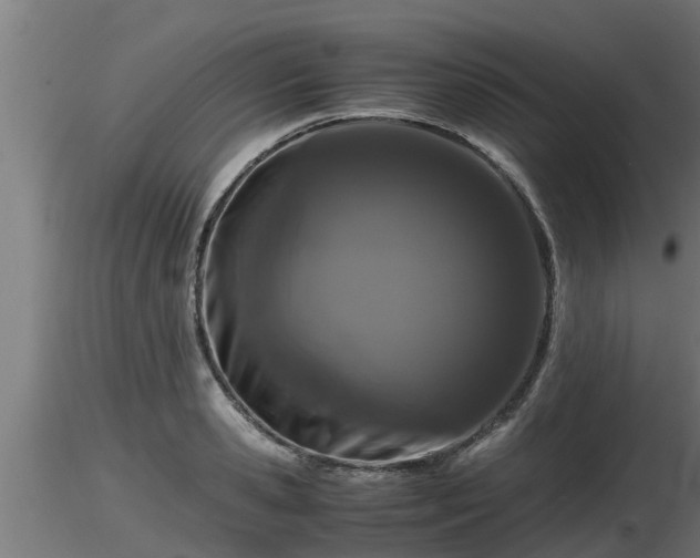 X0000116760941200912241139