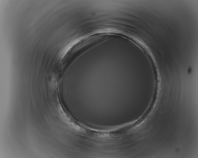 X0000116760945200912241139