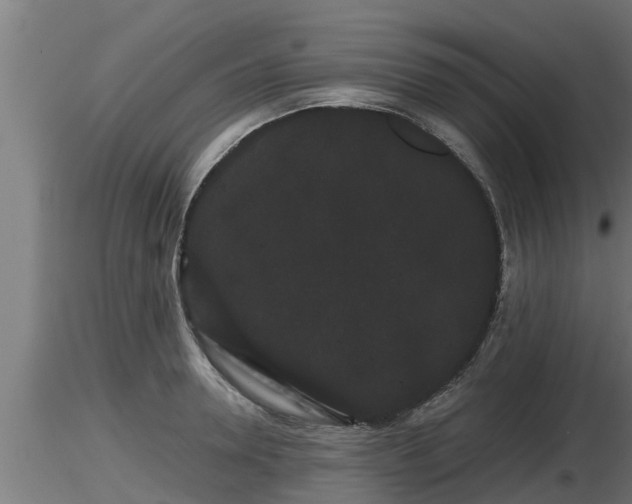 X0000116760946200912241139