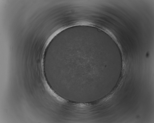 X0000116760947200912241139