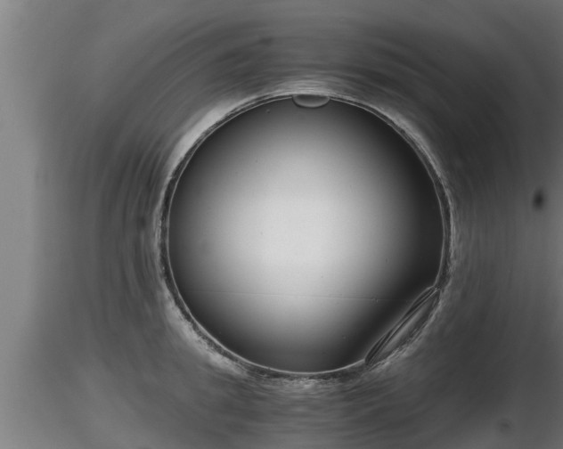 X0000116760949200912241139