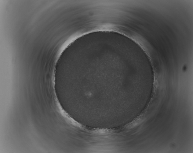 X0000116760950200912241139