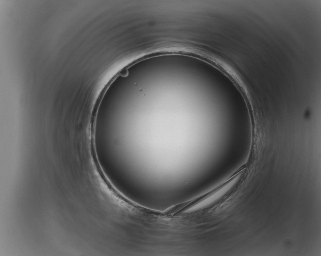 X0000116760951200912241140