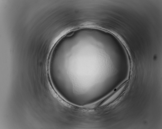 X0000116760957200912241140