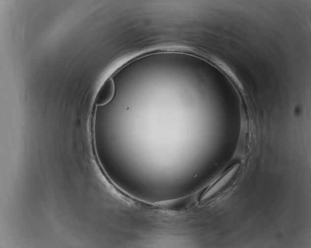 X0000116760959200912241140