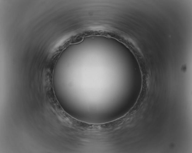 X0000116760968200912241139