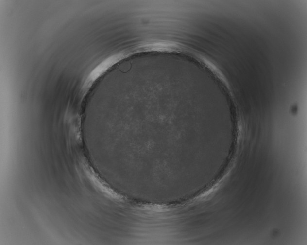 X0000116760970200912241139