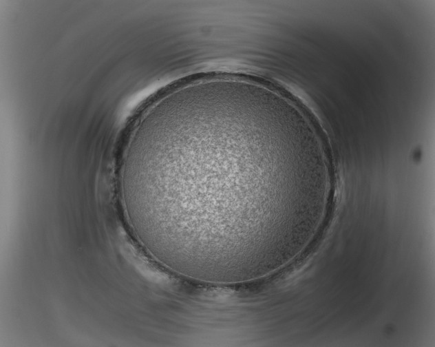 X0000116760971200912241139