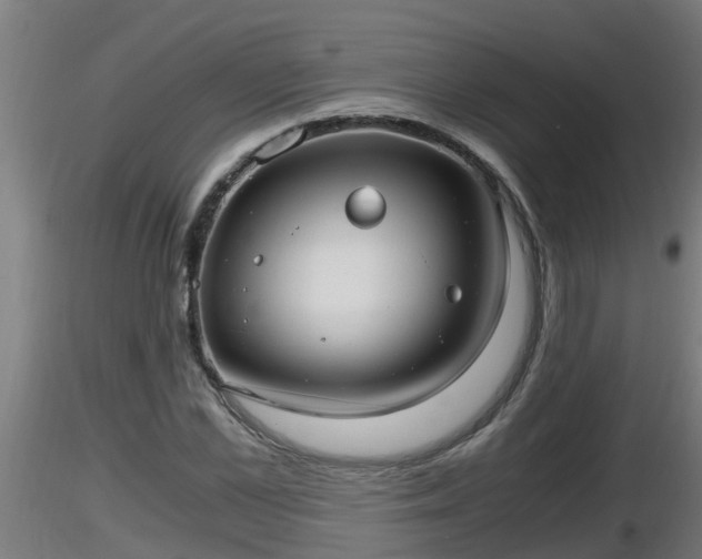 X0000116760973200912241139