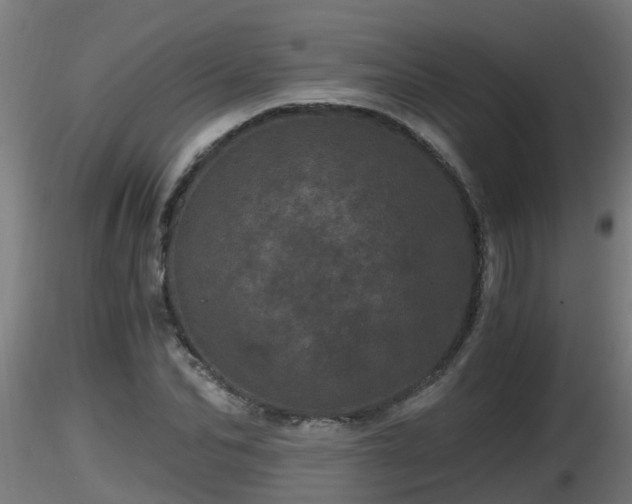 X0000116760974200912241139