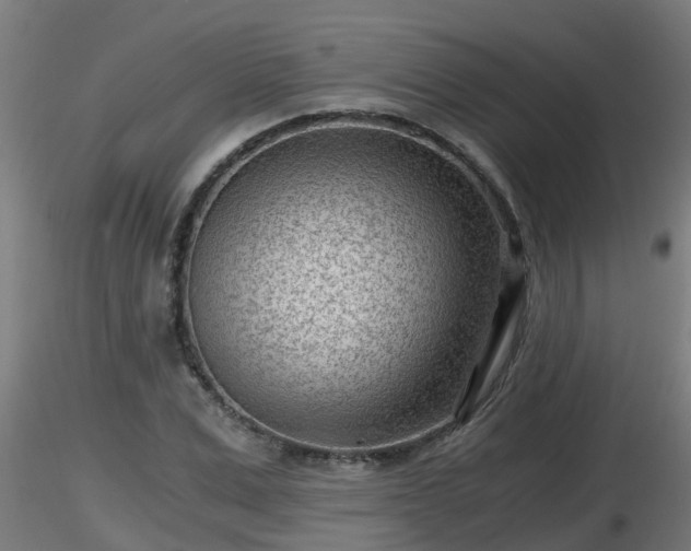 X0000116760975200912241139