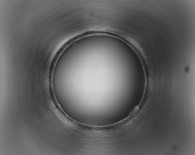 X0000116760976200912241139