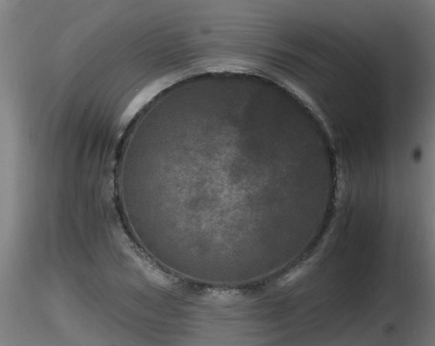 X0000116760978200912241139