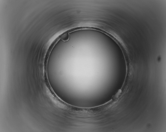 X0000116760980200912241139