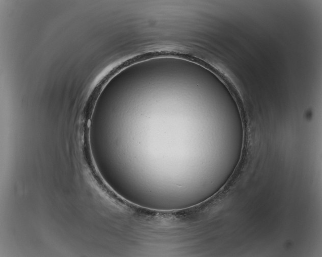 X0000116760983200912241139
