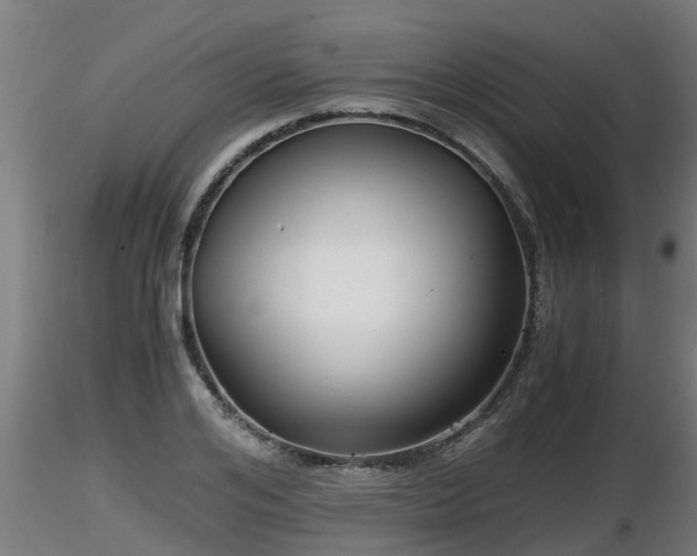 X0000116760984200912241139