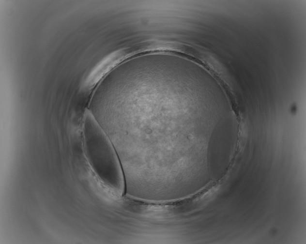 X0000116760985200912241139