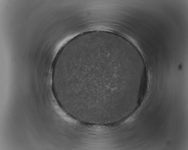X0000116760987200912241139