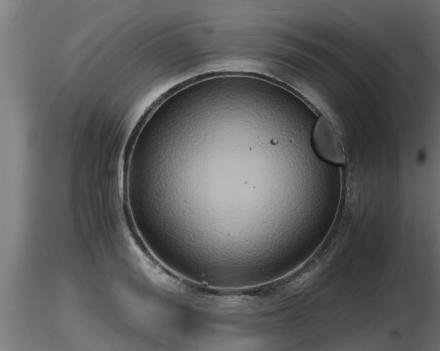 X0000116760988200912241139