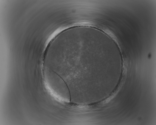 X0000116760989200912241139