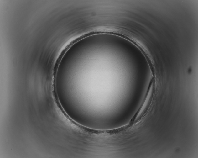 X0000116760992200912241139
