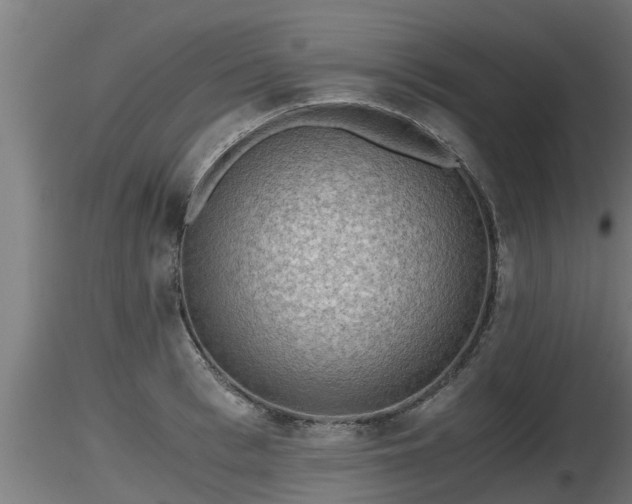 X0000116760993200912241139