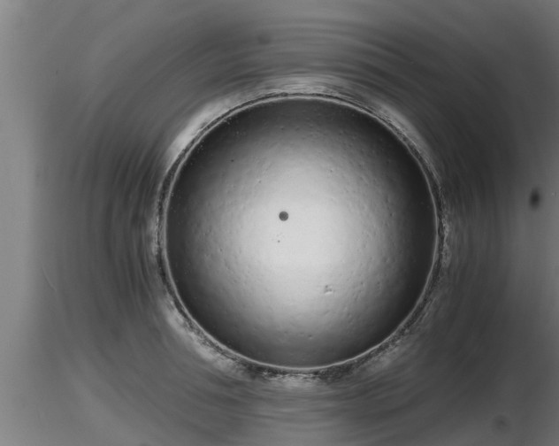 X0000116760994200912241139