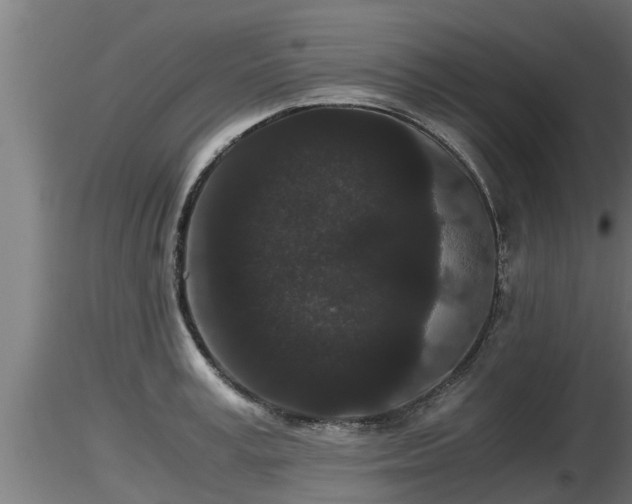 X0000116760995200912241139