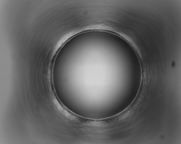 X0000116760998200912241138
