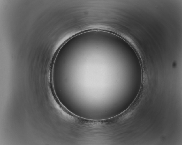 X0000116760999200912241138