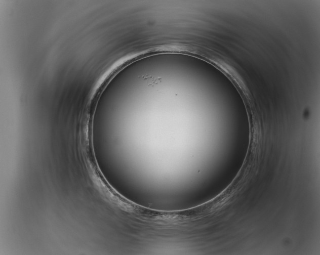 X0000116761000200912241138