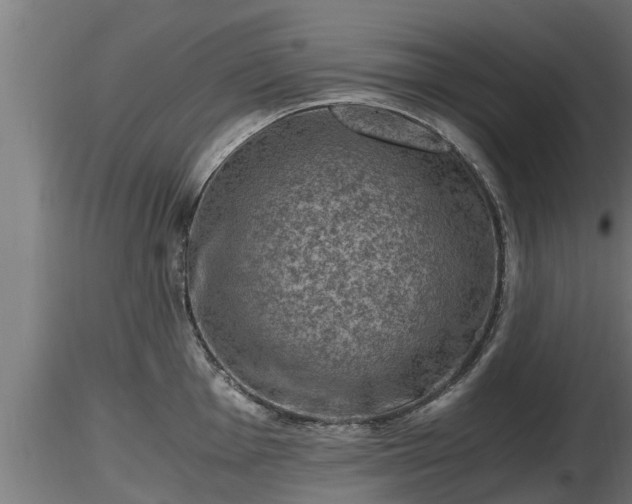 X0000116761001200912241138