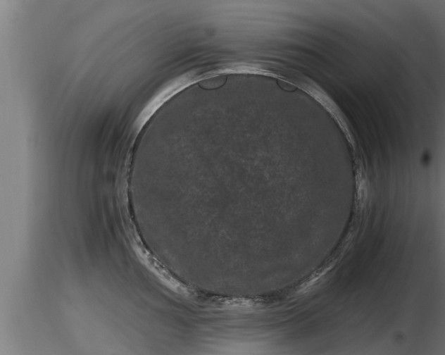 X0000116761002200912241138