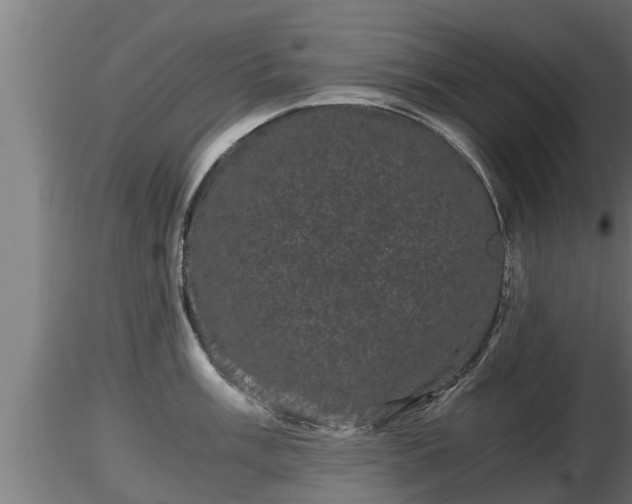 X0000116761003200912241138