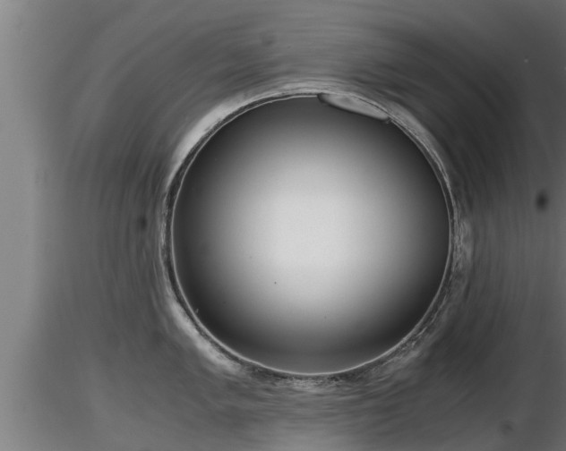 X0000116761005200912241138