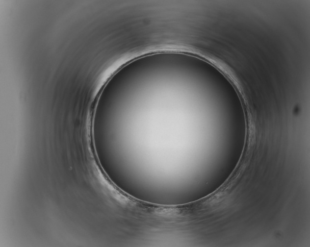 X0000116761006200912241138
