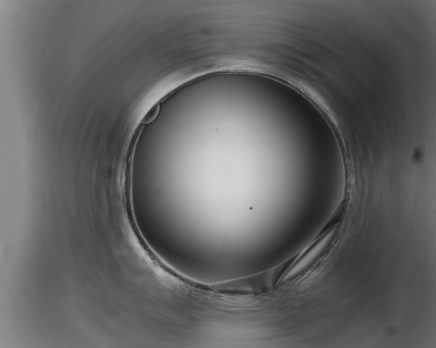 X0000116761007200912241138