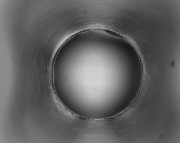 X0000116761008200912241138