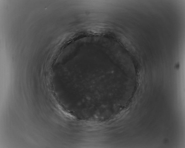 X0000116761009200912241138