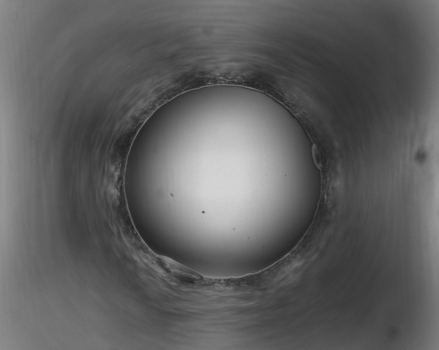 X0000116761010200912241138