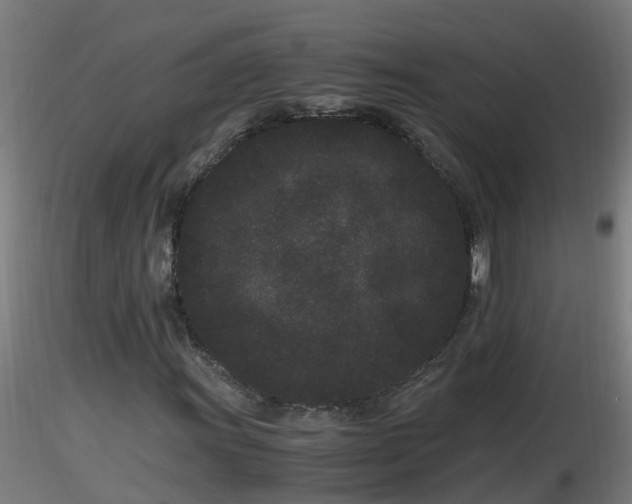 X0000116761011200912241138