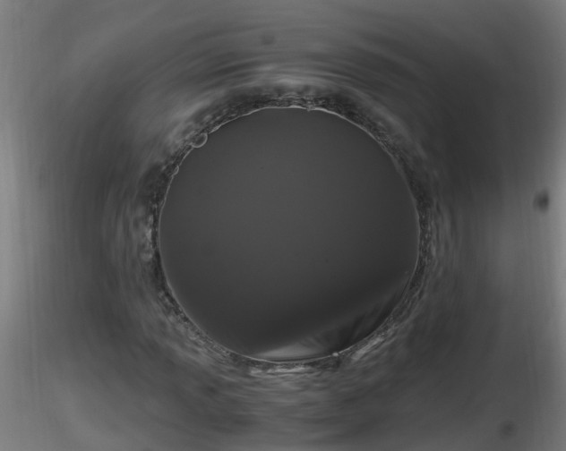 X0000116761013200912241138