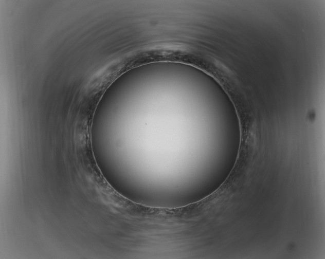 X0000116761014200912241138